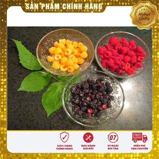 Hạt giống mâm xôi vàng