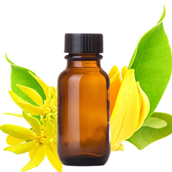 Tinh dầu Ngọc Lan Tây nguyên chất ( Ylang-Ylang Essential Oil ) GUTY Lọ 100ml