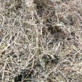 BẠCH HOA XÀ THIỆT THẢO 1KG