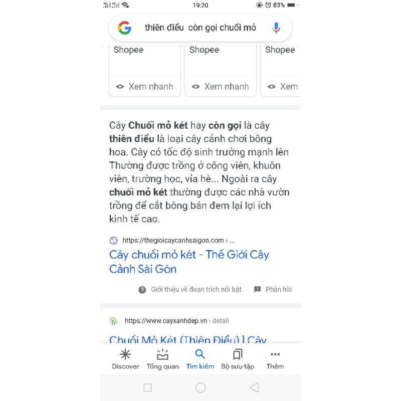 Gốc hoa  Thiên Điểu