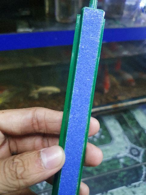 THANH SỦI OXY HỒ CÁ DÀI 20CM