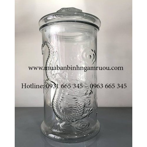 Bình Ngâm Sâm Thủy Tinh 25 Lít Trụ Rồng - Hũ Ngâm Sâm 15 Lít