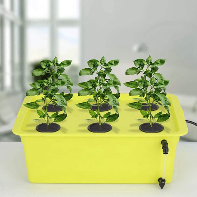 60 Đế xốp trồng cây loại 2inch tiện lợi chất lượng