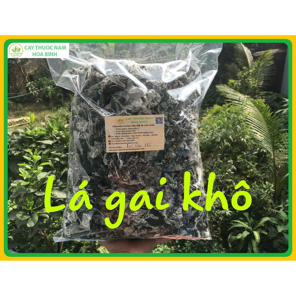 500g lá gai khô sạch