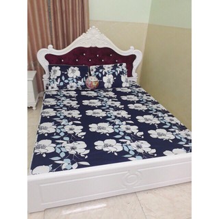 Bộ ga và 2 vỏ gối nằm cotton thắng lợi