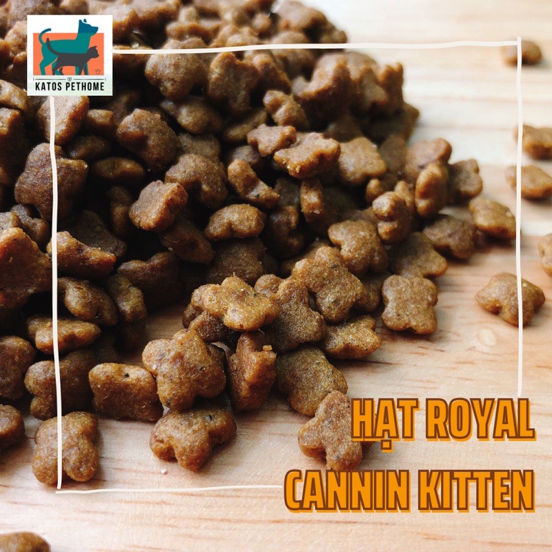 Thức ăn cao cấp cho mèo Royal Canin Kitten 36 túi 1kg