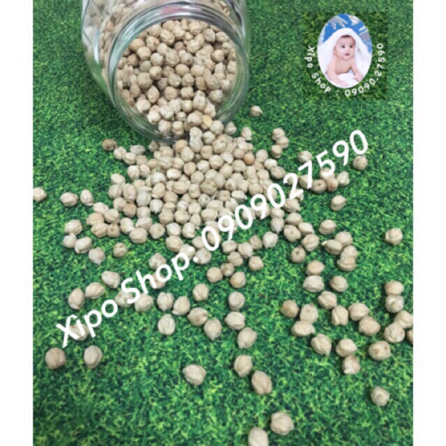 500g Đậu Gà Non GMO Nhập Khẩu Mỹ