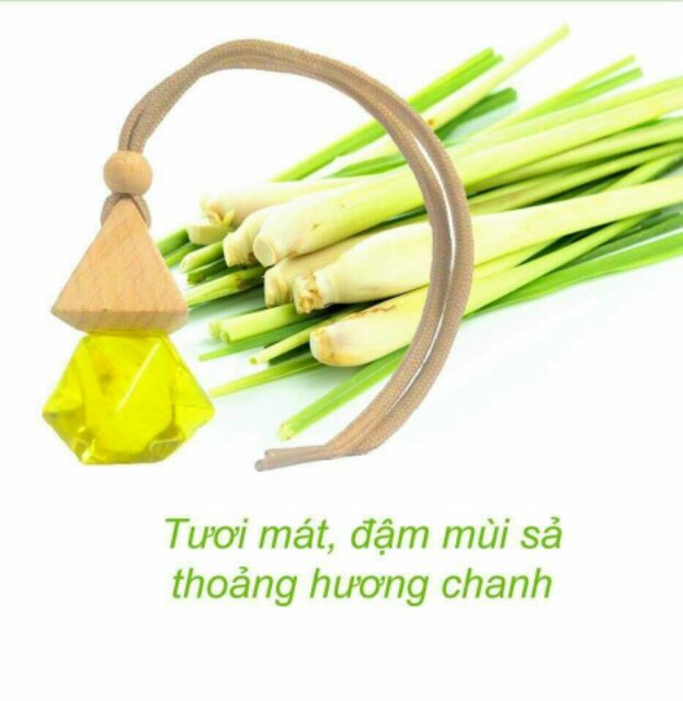 Tinh dầu treo ô tô đuổi muỗi