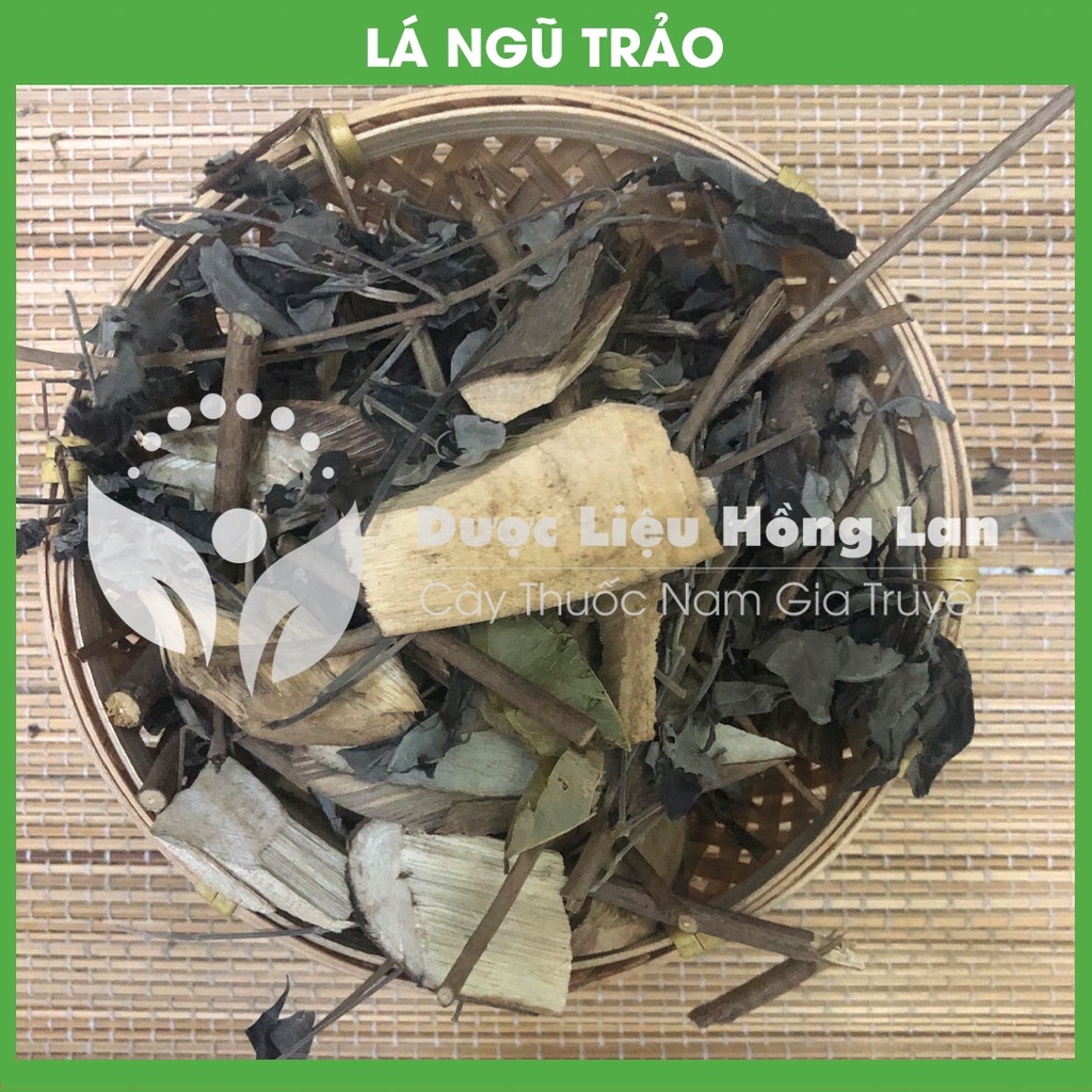 LÁ CÂY NGŨ TRẢO khô sạch đóng gói 1kg - congtyduoclieuhonglan