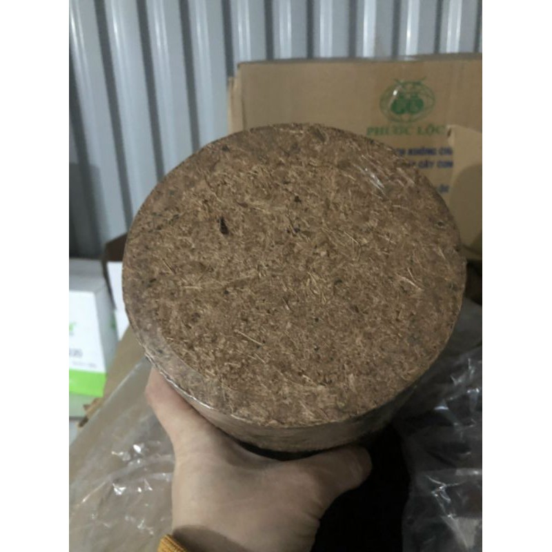 VIÊN NÉN MỤN XƠ DỪA TRỒNG RAU,HOA CÂY CẢNH