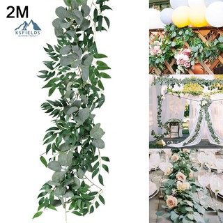 Dây Leo Cây Bạch Đàn Giả Trang Trí