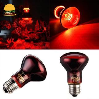 Đèn LED sưởi ấm chuyên dùng cho bò sát