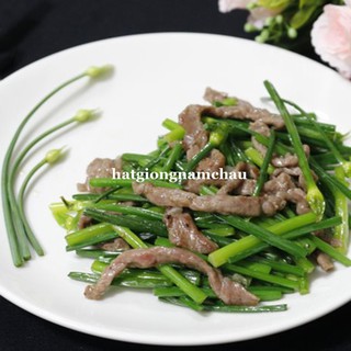 1GR - HẠT GIỐNG BÔNG HẸ