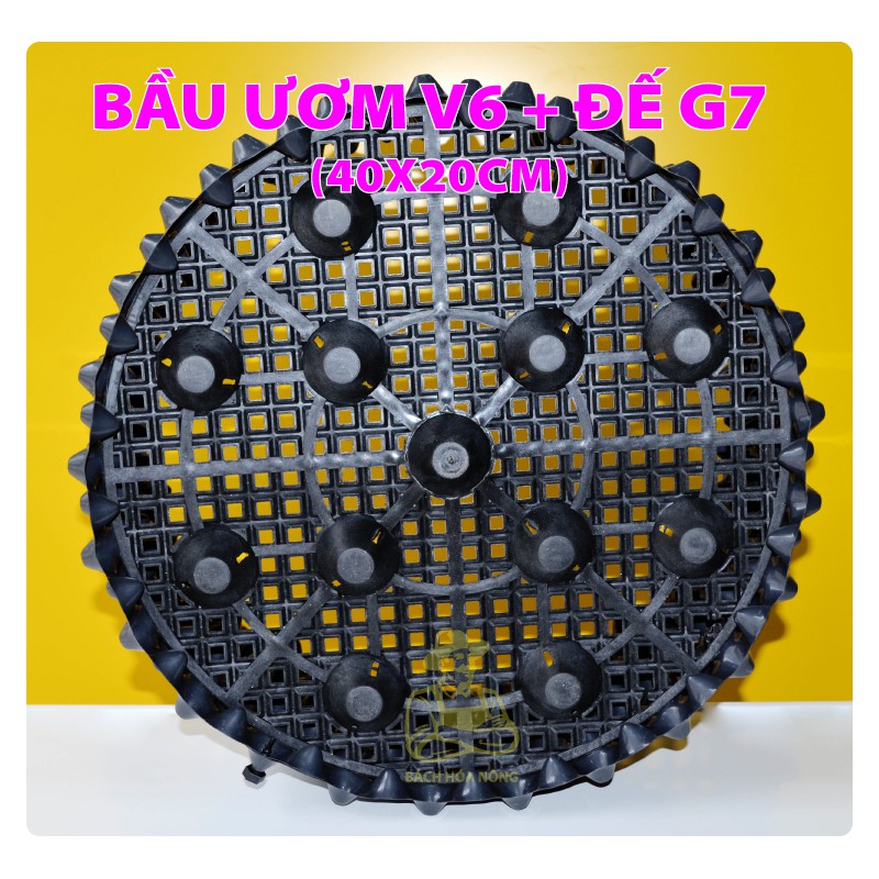 BẦU ƯƠM V6 + ĐẾ G7   - combo kèm đinh ốc