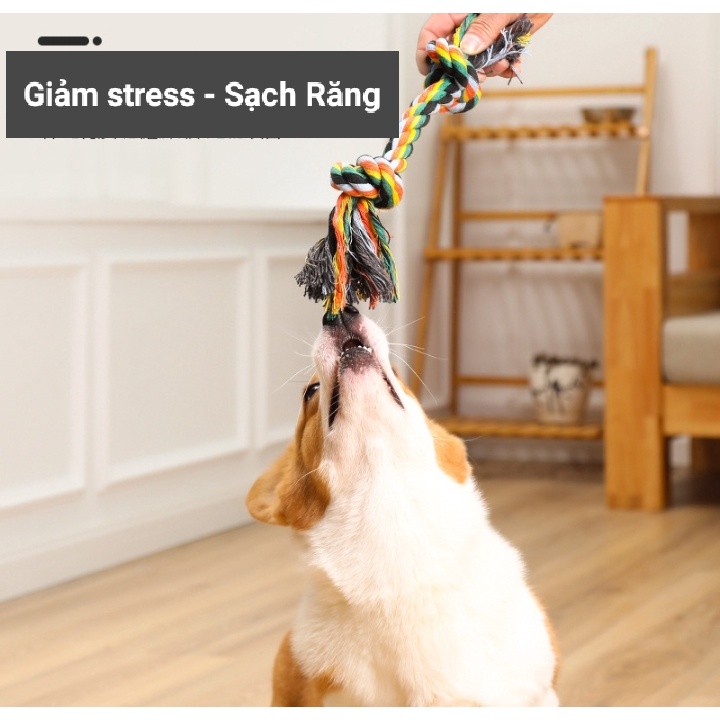 Dây bện hình xương nhiều màu chất liệu cotton bền đẹp giảm stress và sạch răng cho chó mèo