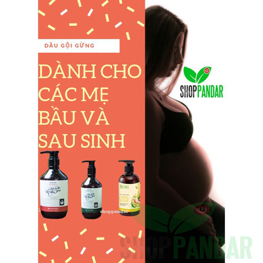 [CHO MẸ BẦU] Dầu gội, xả gừng và sữa tắm gừng nghệ và dung dịch vệ sinh phụ nữ cho các mẹ bầu và sau sinh, PANDAR