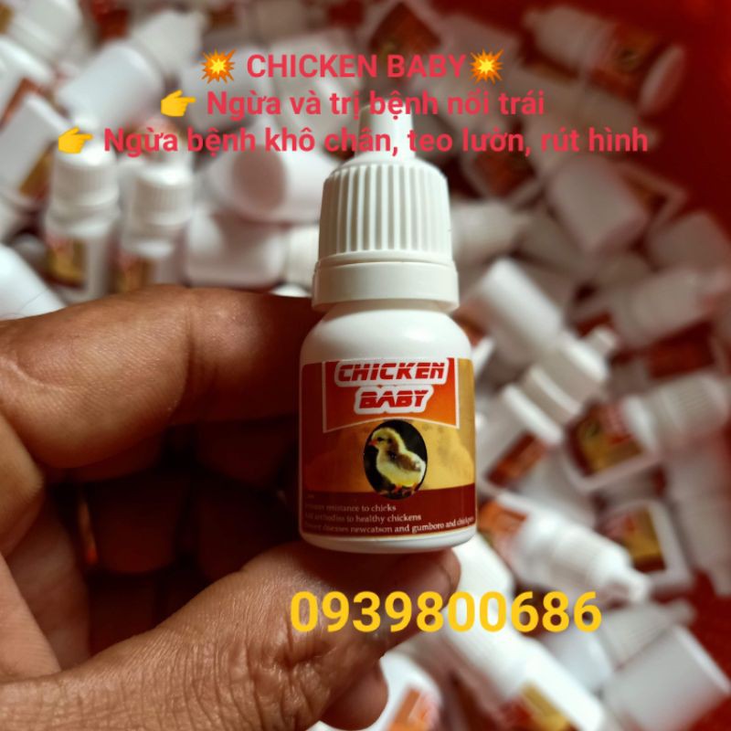 ÚM GÀ CON SIÊU ĐỈNH, CHICKEN BABY