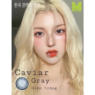 Kính áp tròng Contact lens gray