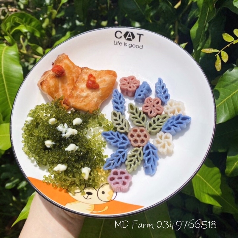 Nui rau củ ăn dặm nhiều hình dáng, màu sắc kích thích đa giác quan cho bé bé ăn ngon miệng