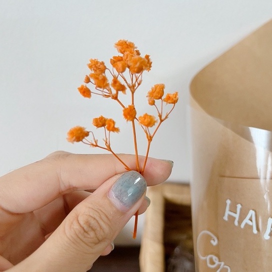 Nhánh hoa baby khô, hoa trang trí thiệp, bánh kem, qùa tặng