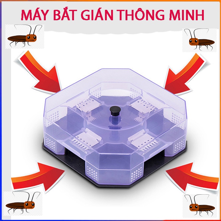 Dụng cụ bắt gián thông minh