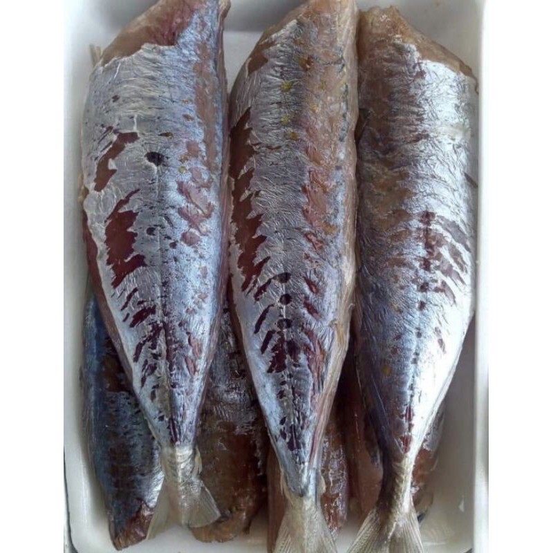 Cá nục 1 nắng khay 500g , size to , không đầu thơm ngon bổ dưỡng - Haidangfoods