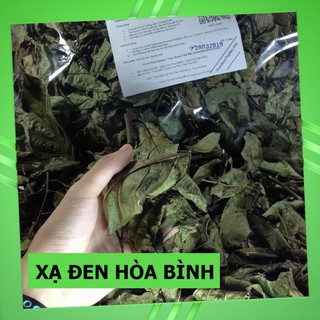 [FreeShip] Cây Xạ Đen - Hàng Rừng