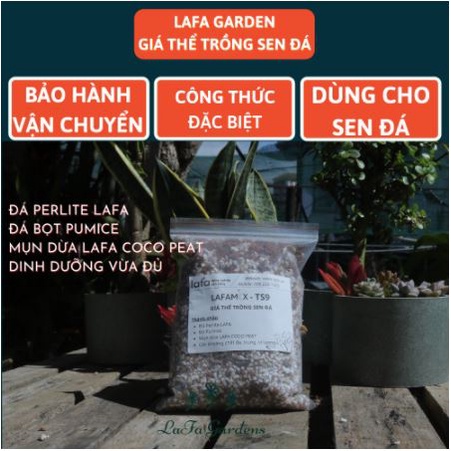 Đất trồng sen đá LAFAMIX-TS9 túi 1 lít, nguyên liệu nhập khẩu đá perlite, đá pumice chuyên trồng cây sen đá