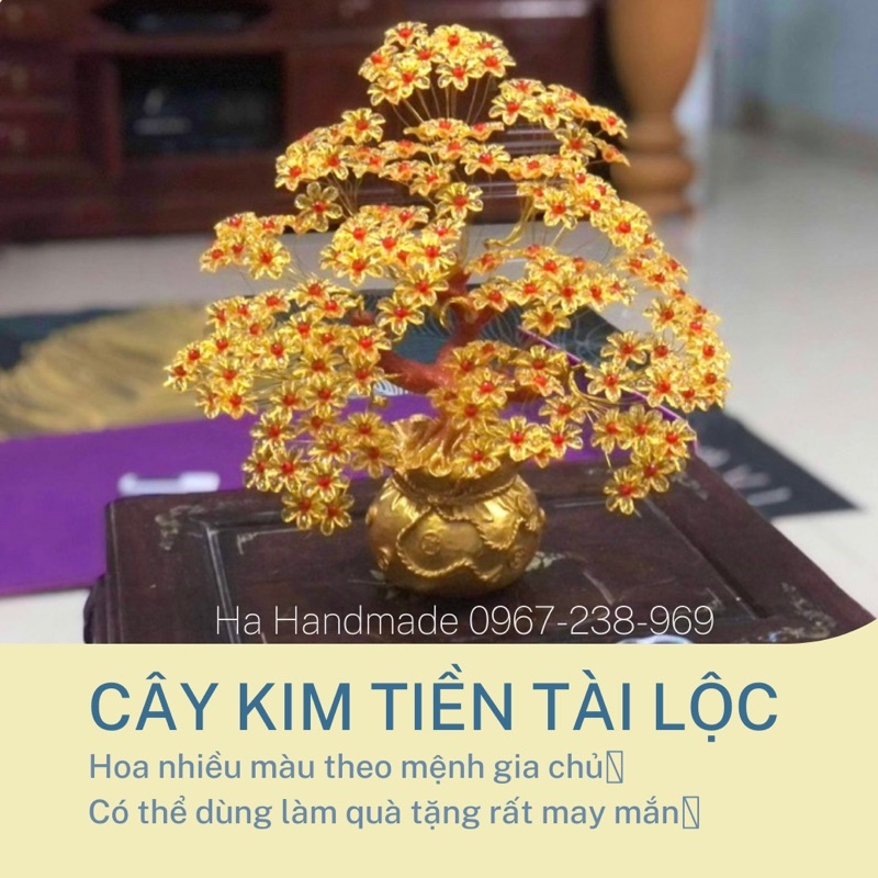 Cây Kim tiền cỡ tofreeshipCây tài lộc may mắn,handmade