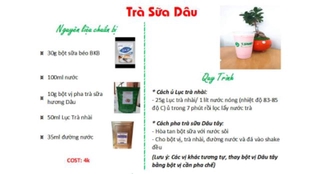 Bột vị pha trà sữa 250g