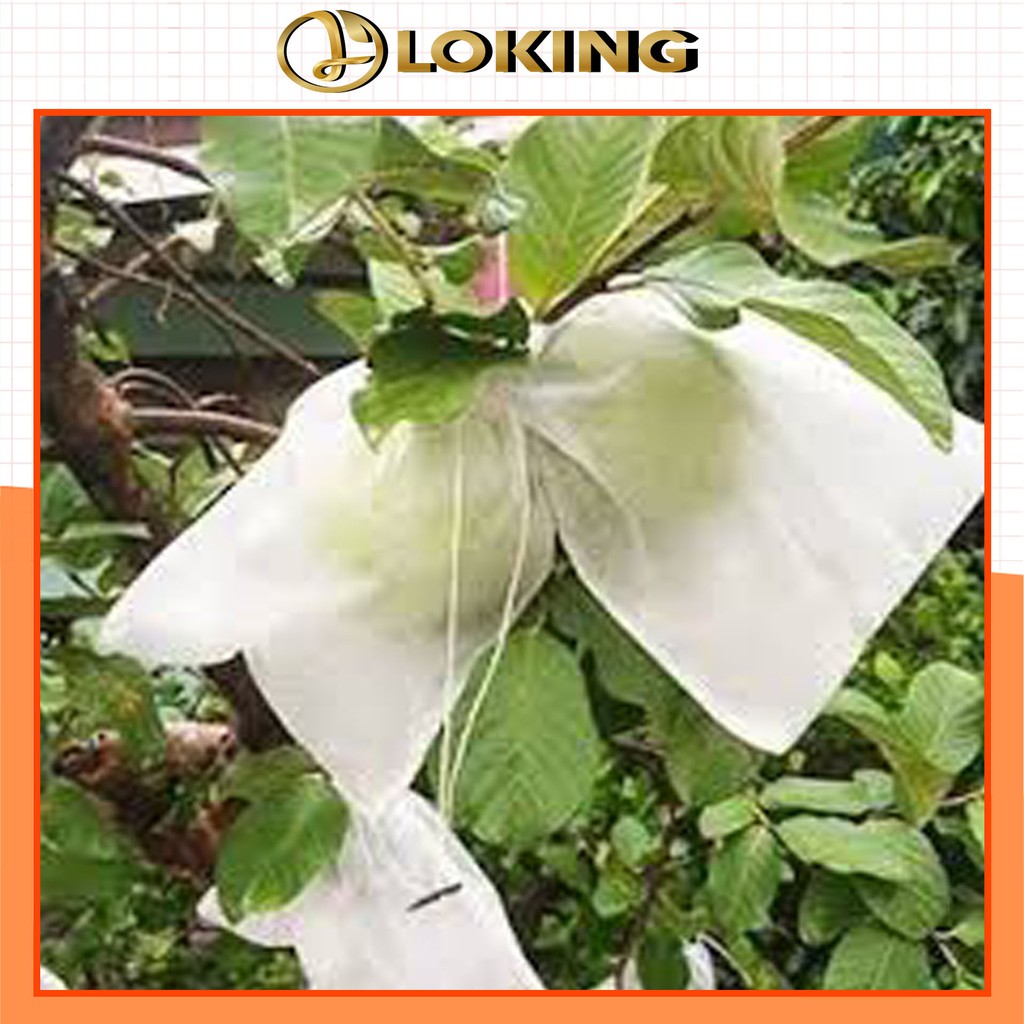 [15x20cm] 100 Túi Bọc Trái Cây Ổi, Bơ, Xoài, Na Có Dây Rút Sử Dụng 3-5 Năm - LOKING