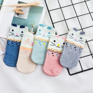 Combo 5 đôi tất thú xuất Hàn