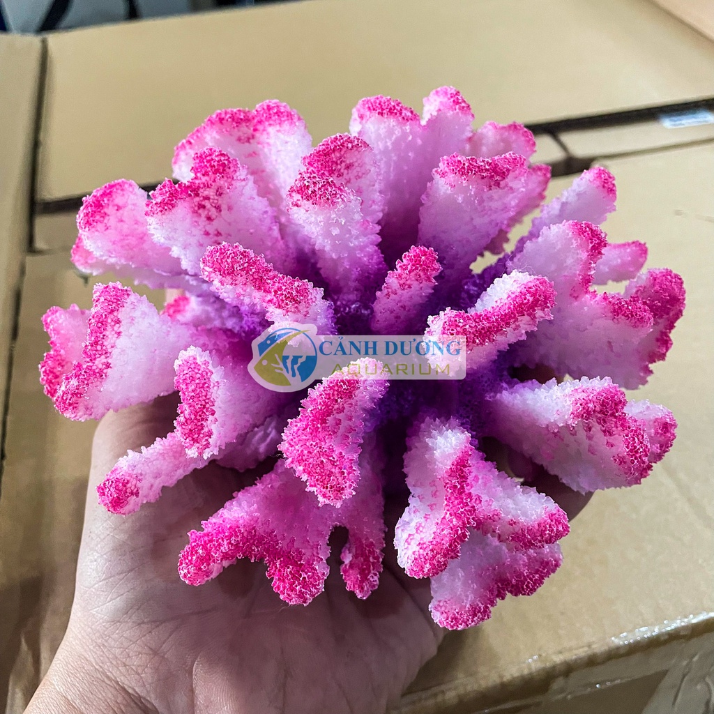 Mô Hình San Hô Nhân Tạo Trang Trí Bể Cá 1496Q (MÀU HỒNG)