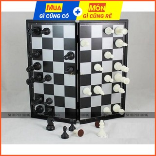 Bàn cờ vua nam châm - DHS4024