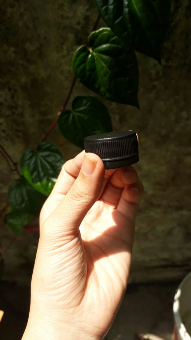 10 Chai nhựa pet nắp đen 330ml cao tròn - vuông cao - tam giác - nón