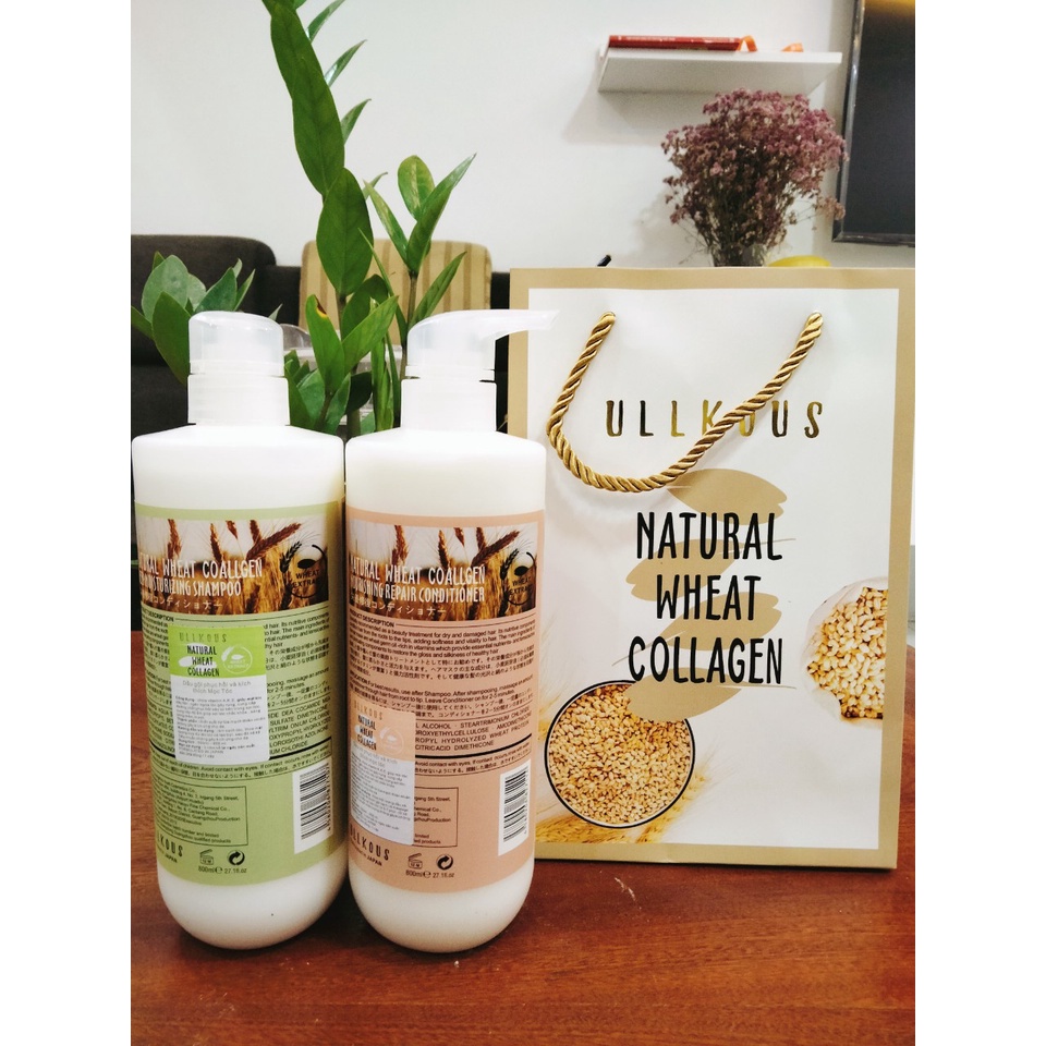 Cặp Dầu Gội Xả COLLAGEN Lúa Mạch ULLKOUS 800ML. Ngăn rụng tóc, Phục Hồi Tóc Hư Tổn, Khô Xơ Hàng Chính Hãng Cao Cấp