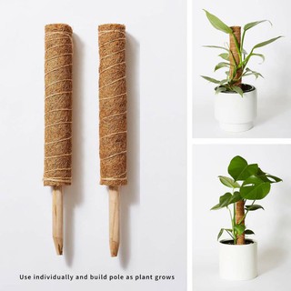 Cột, trụ xơ dừa trồng cây leo 50cm, có thể nối dài, giảm giá từ 5 trụ