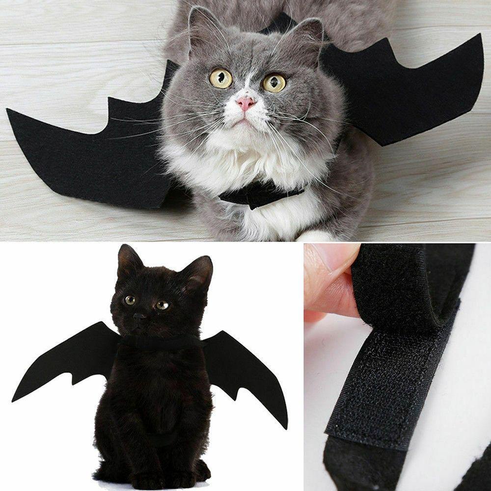 Cánh Dơi Màu Đen Hóa Trang Halloween Vui Nhộn Có Thể Tái Sử Dụng Cho Thú Cưng