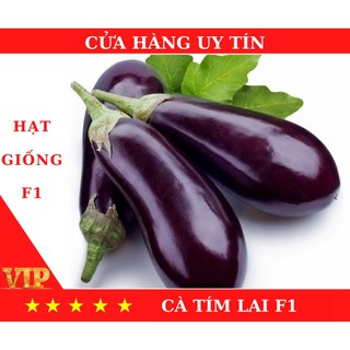 Hạt giống cà tím lai f1 chất lượng cao