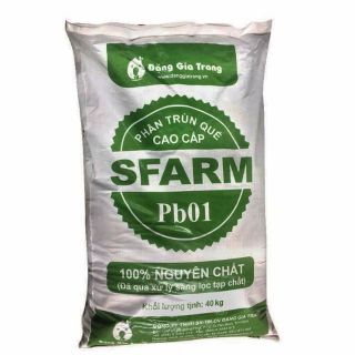 Trùn quế Đặng Gia Trang 10kg