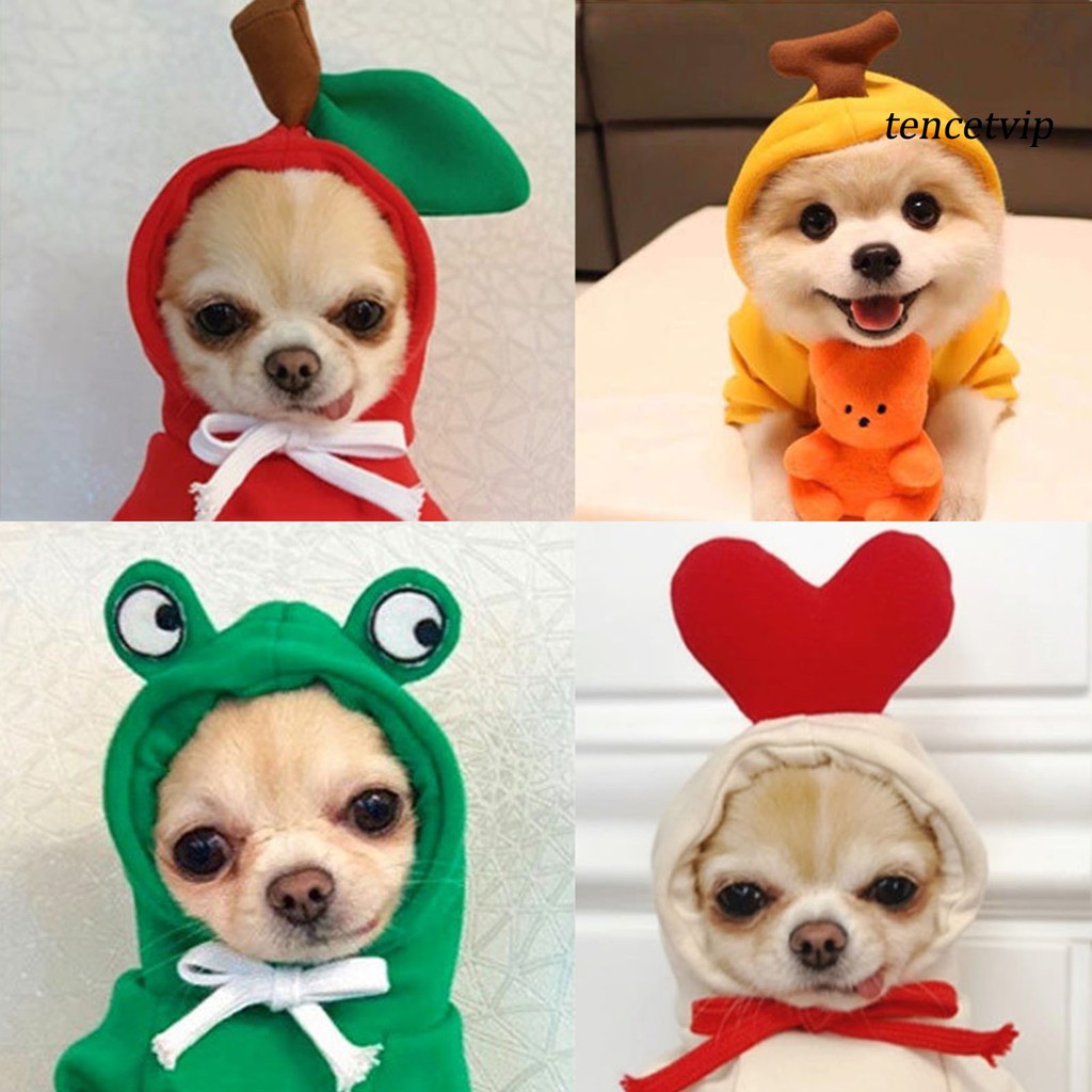 Áo hoodie cho thú cưng ấm áp xinh xắn