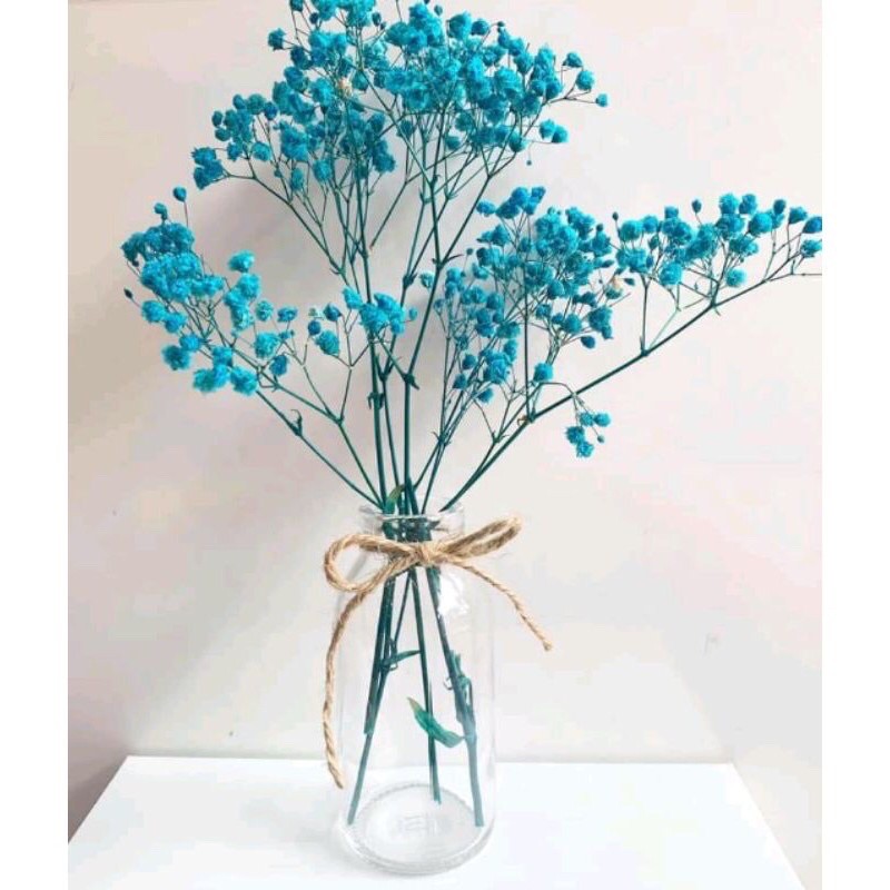 Hoa khô Baby ướp màu trang trí phòng - Hoa Baby Gysophila sấy khô ướp màu decor bó 10g
