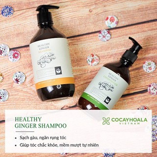 COMBO DẦU GỘI, DẦU XẢ THẢO DƯỢC  GỪNG TƯƠI