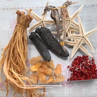 1 cặp cá ngựa 12cm + 1 cặp hải sâm + 1 cặp hải long + 5 con sao biển size lớn