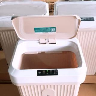 Thùng rác cảm ứng