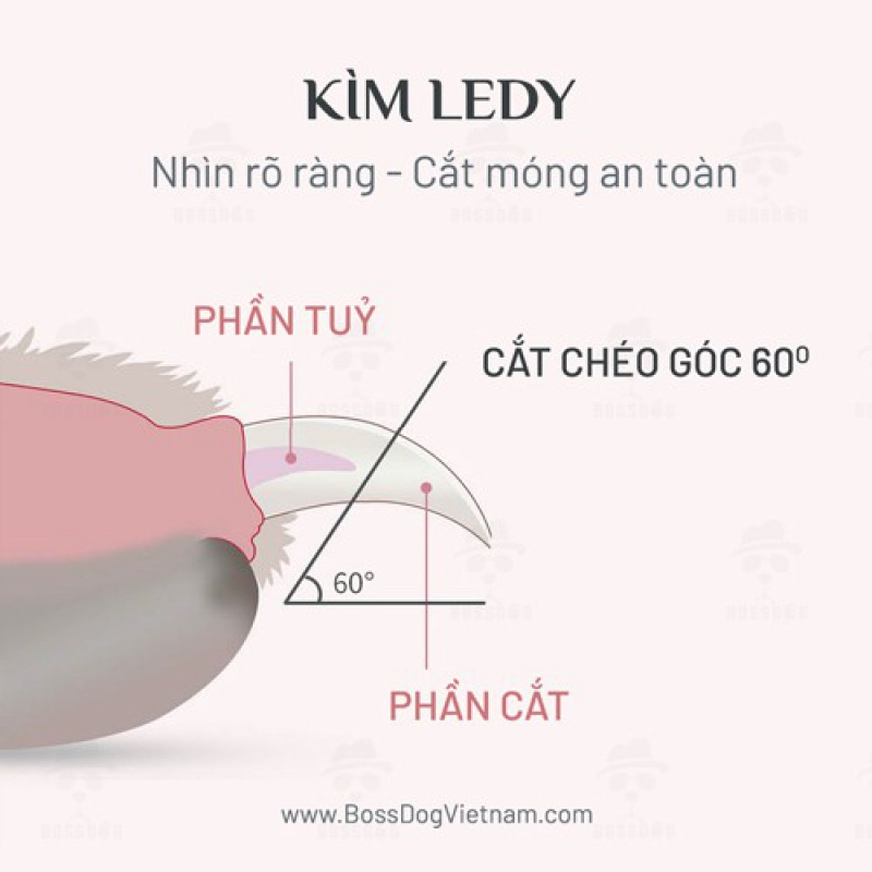 Kìm cắt móng thú cưng có đèn LED