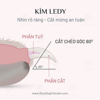 Dụng cụ cắt móng tay cho thú cưng Dụng cụ cắt móng tay cho chó