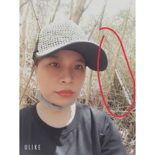 Mật ong rừng U Minh Hạ