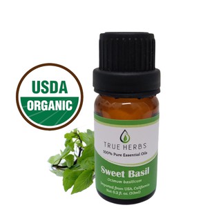 Tinh dầu Húng Quế (Sweet basil) - Tinh dầu thiên nhiên hữu cơ nguyên chất nhập khẩu Mỹ