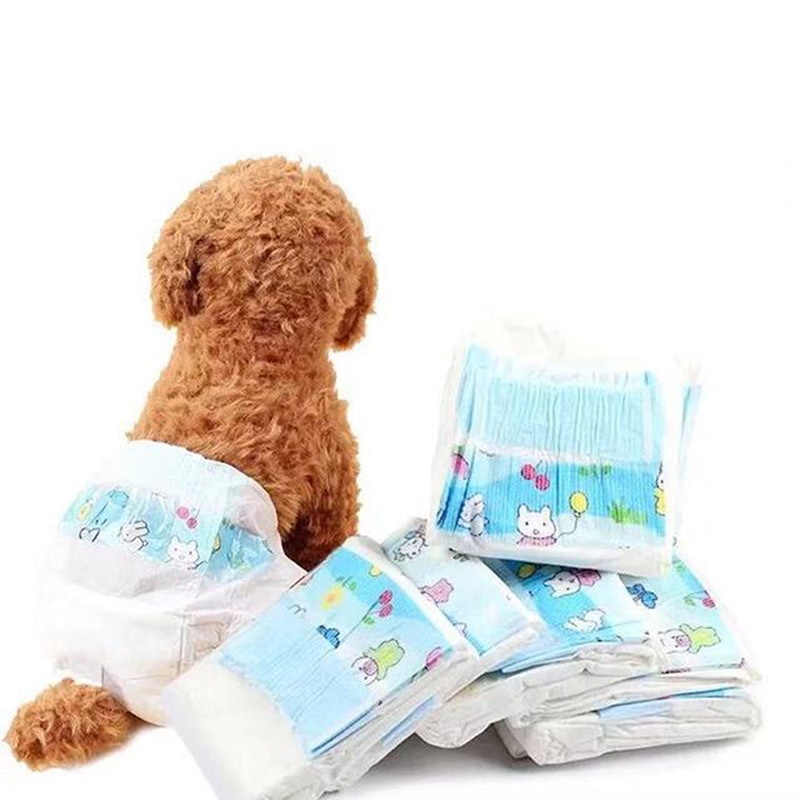 Bỉm cho chó cái - Tã bỉm cho chó thấm hút tốt